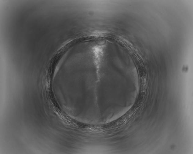 X0000097591158200803211630