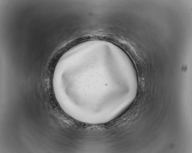 X0000097591159200803211630