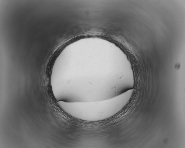 X0000097591160200803211630