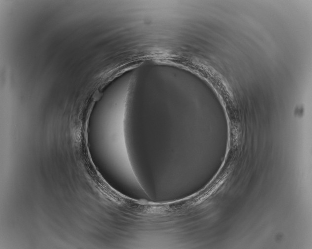 X0000097591161200803211630