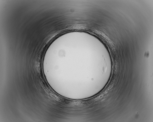 X0000097591162200803211630