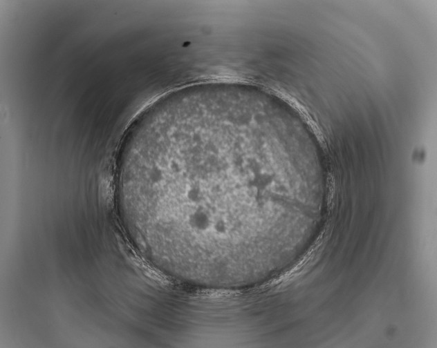 X0000097591163200803211630