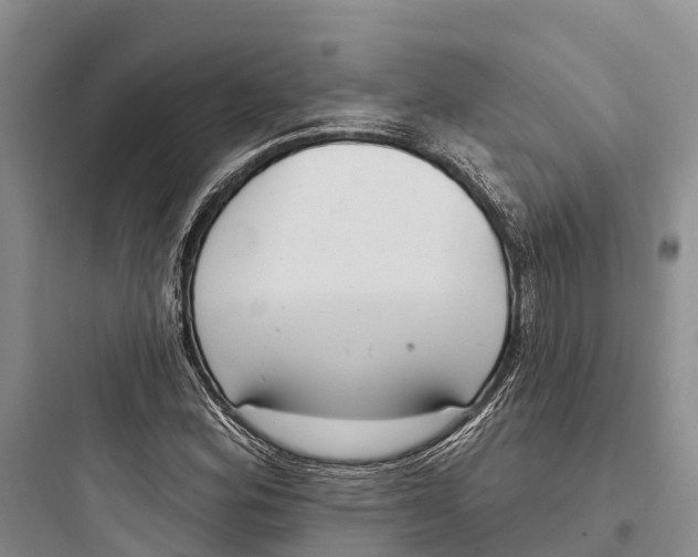 X0000097591164200803211630