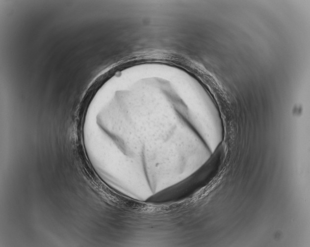 X0000097591166200803211630