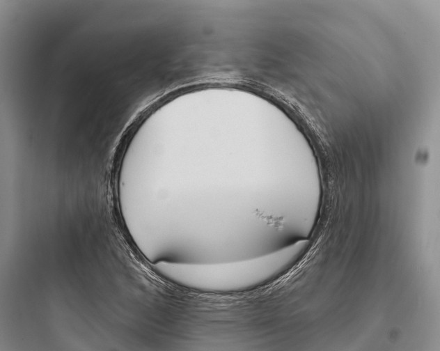 X0000097591168200803211629