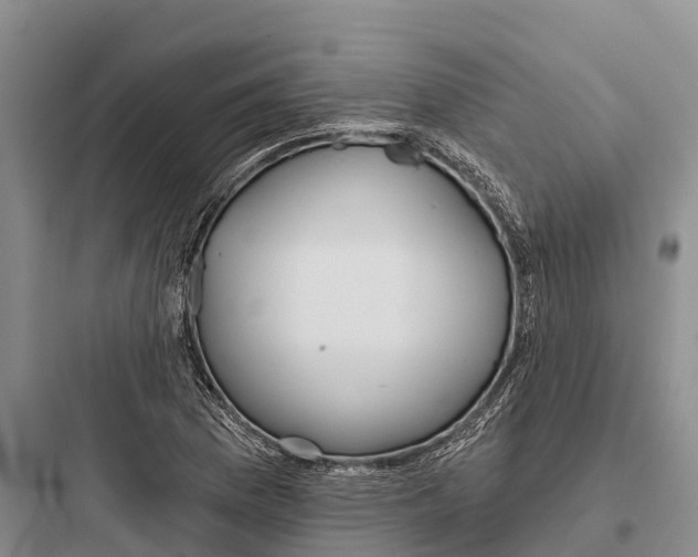 X0000097591169200803211629