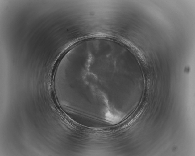 X0000097591170200803211629