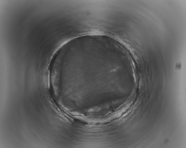 X0000097591171200803211629