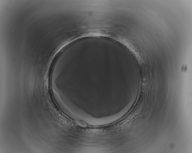 X0000097591173200803211629