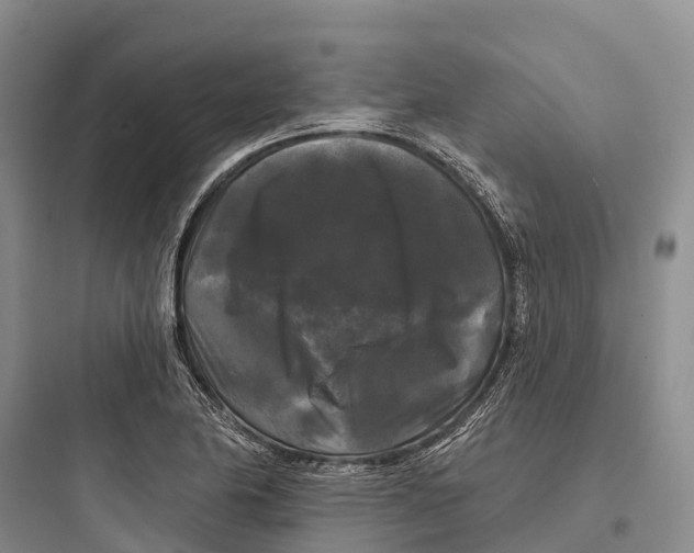 X0000097591174200803211629