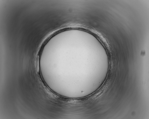 X0000097591175200803211629