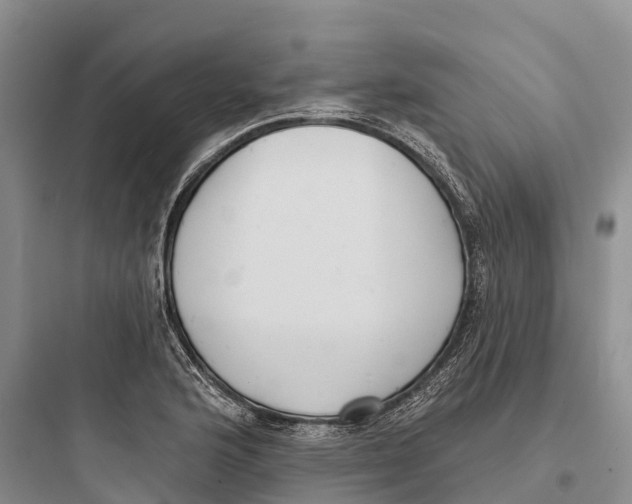 X0000097591176200803211629