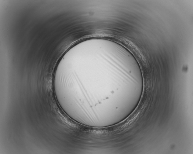 X0000097591177200803211629