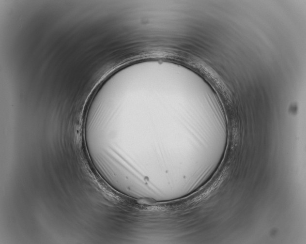 X0000097591178200803211629