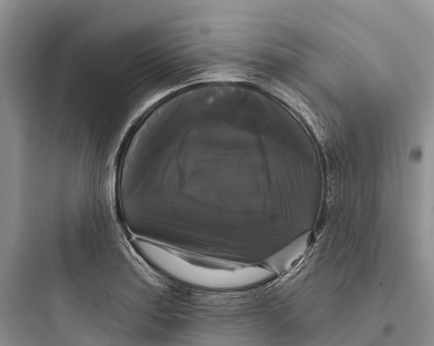 X0000097591179200803211629