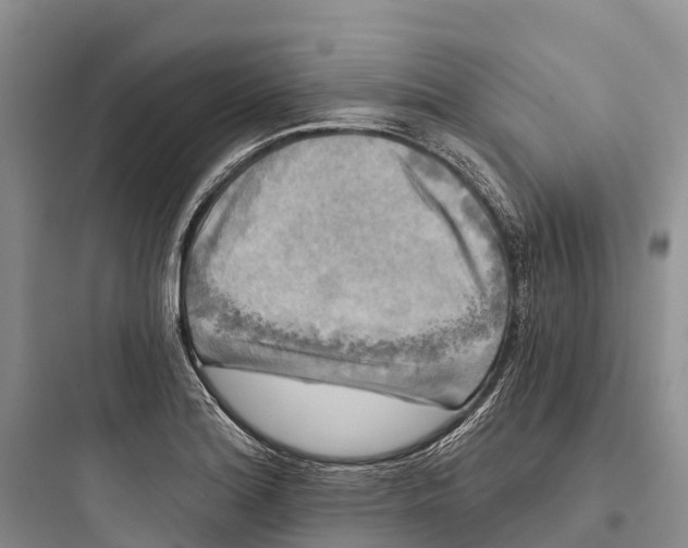 X0000097591180200803211629