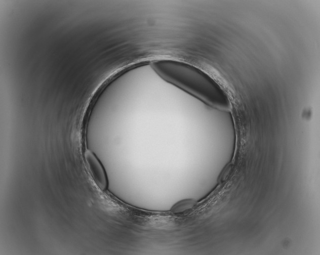 X0000097591181200803211629