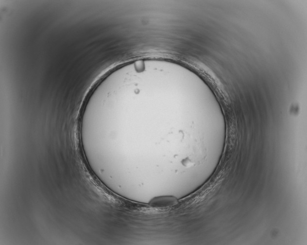 X0000097591182200803211629