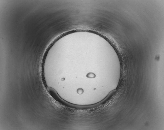 X0000097591183200803211629