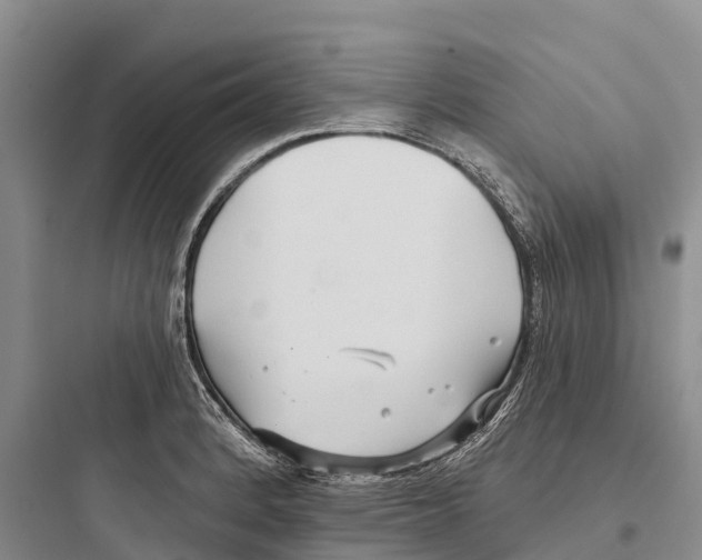 X0000097591184200803211629