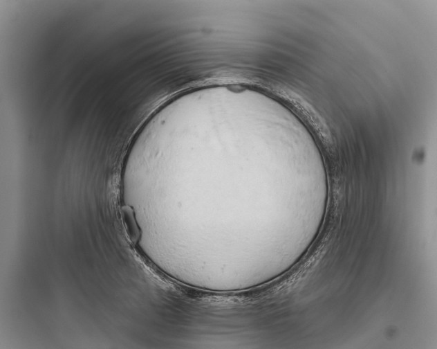 X0000097591185200803211629