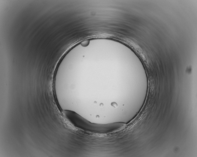 X0000097591186200803211629