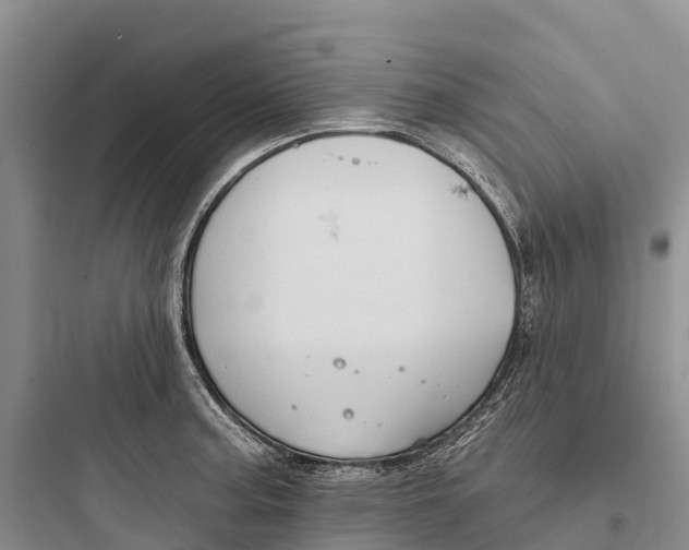 X0000097591187200803211629