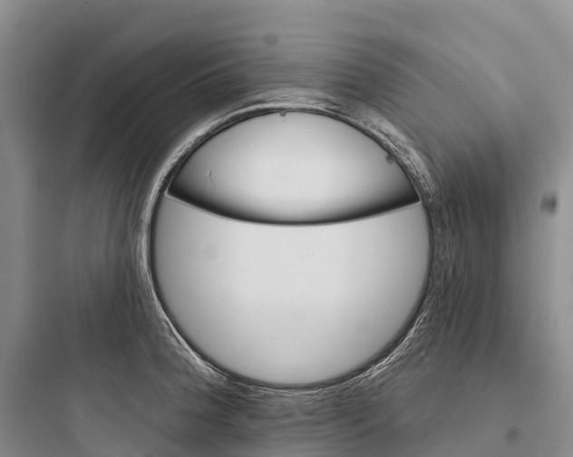 X0000097591188200803211629