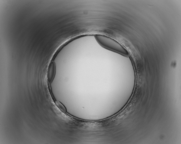 X0000097591189200803211629