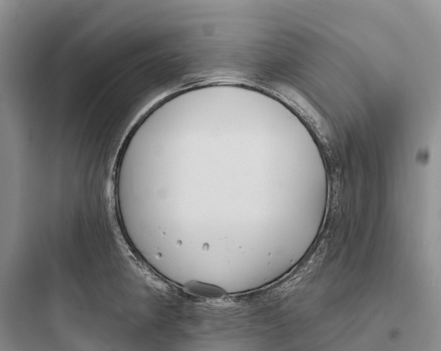 X0000097591190200803211629