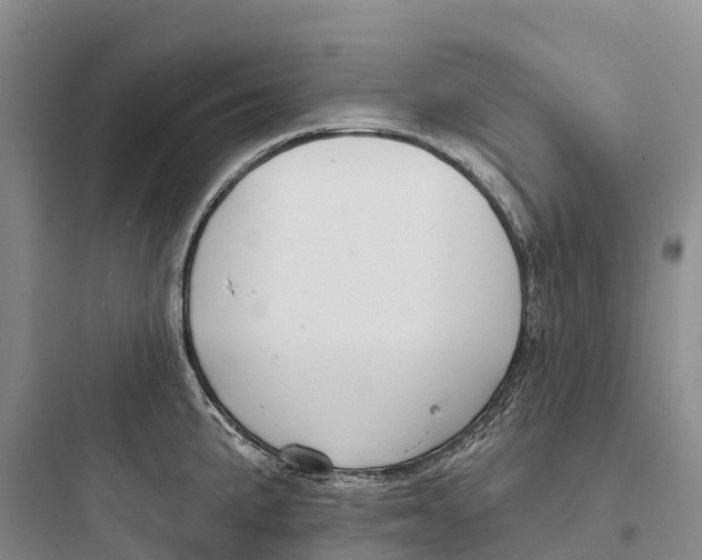 X0000097591191200803211629