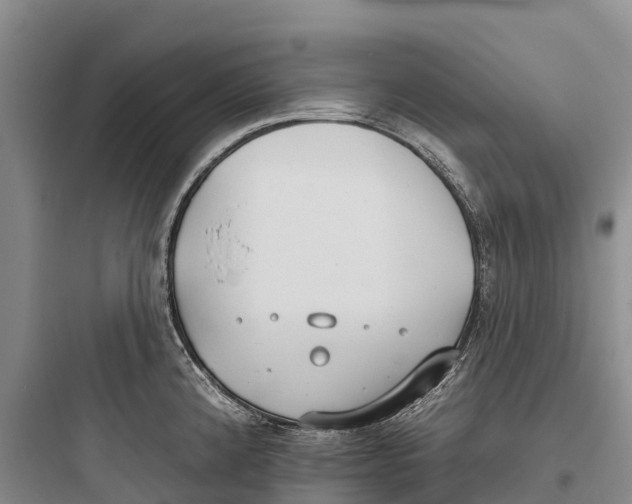 X0000097591192200803211629