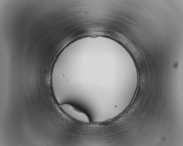 X0000097591193200803211629