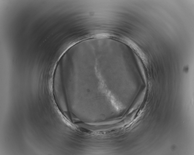 X0000097591194200803211629