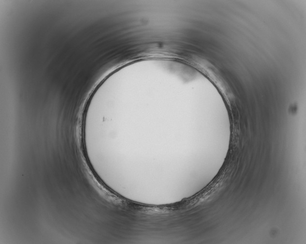 X0000097591195200803211629