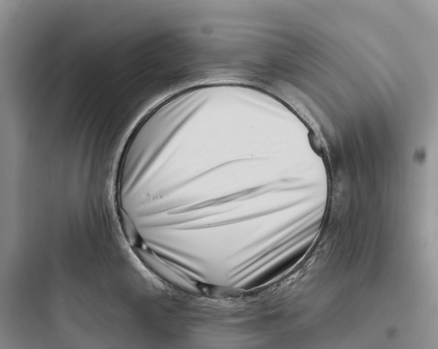 X0000097591197200803211629