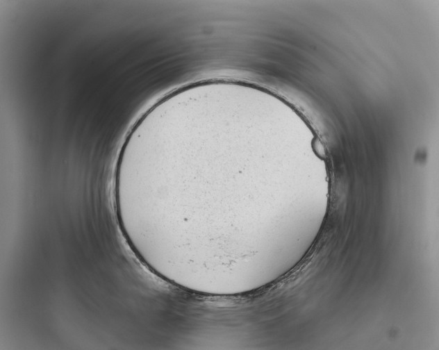 X0000097591199200803211629