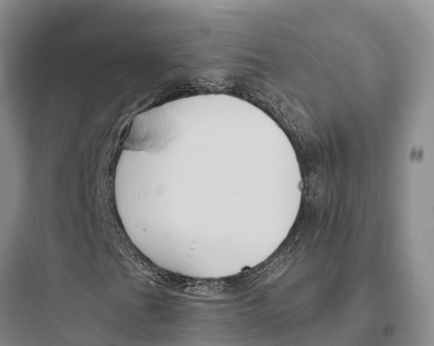 X0000097591201200803211628