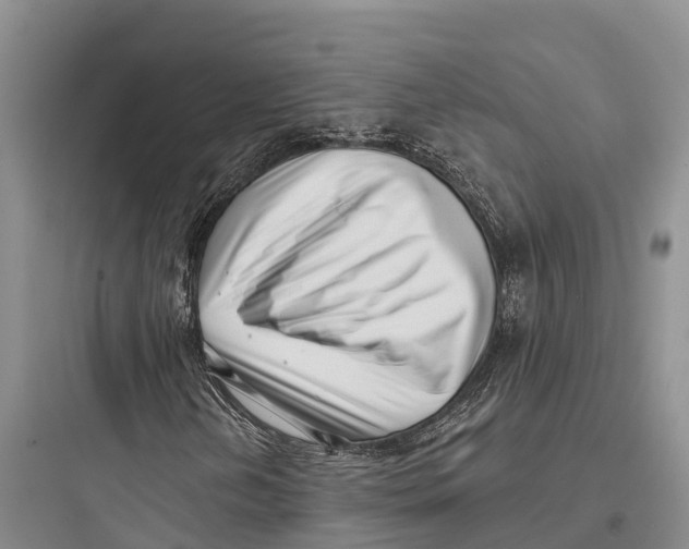 X0000097591202200803211628