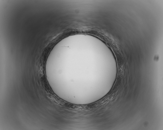 X0000097591205200803211628