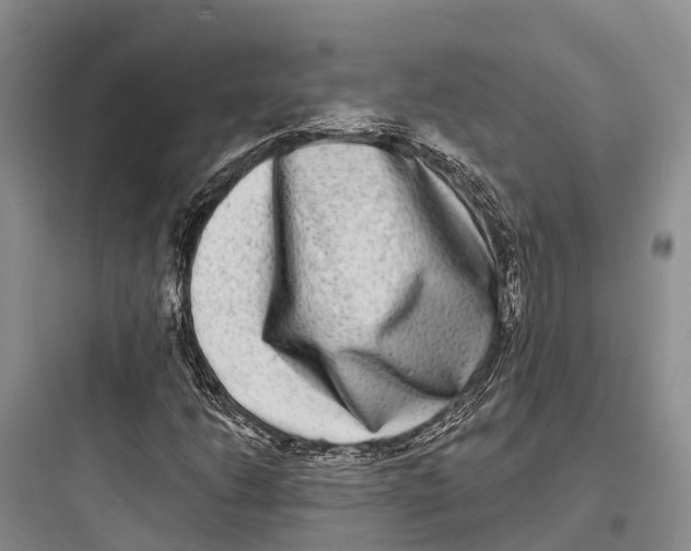 X0000097591206200803211628