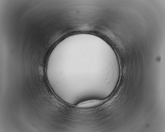 X0000097591209200803211628