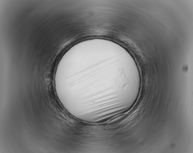 X0000097591210200803211629