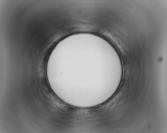 X0000097591211200803211629