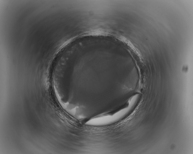 X0000097591213200803211629