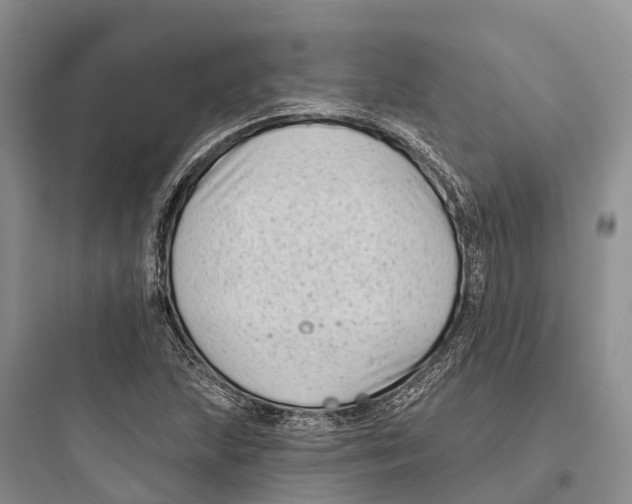 X0000097591215200803211629