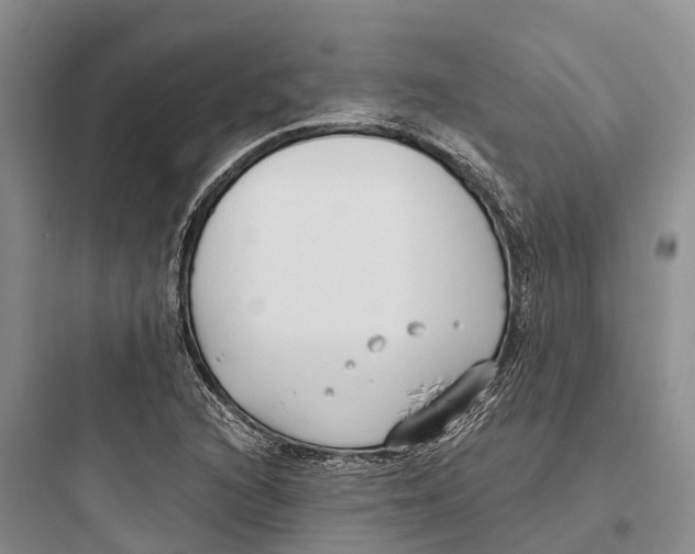 X0000097591216200803211629