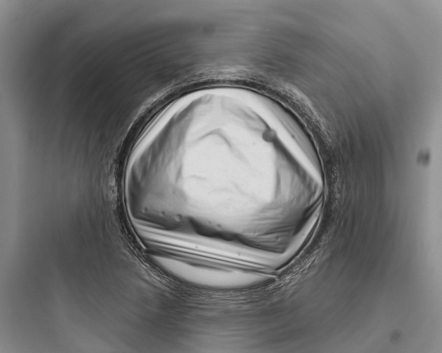 X0000097591218200803211629