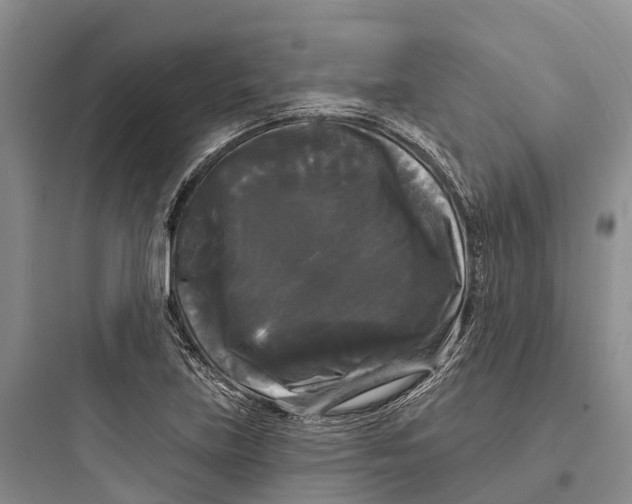 X0000097591219200803211629