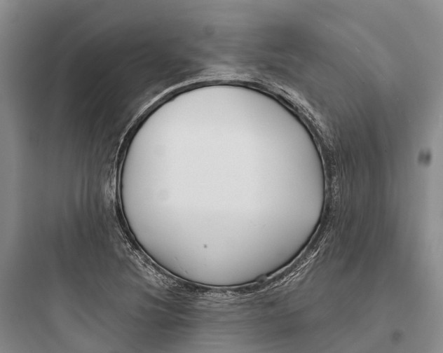 X0000097591220200803211629